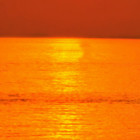 Strong marine heat wave strikes the Maltese Islands
